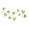 Small Ivy Vine Wall Stencil | 1538 by Designer Stencils | Floral Stencils | Reusable Art Craft Stencils for Painting on Walls, Canvas, Wood | Reusable Plastic Paint Stencil for Home Makeover | Easy to Use & Clean Art Stencil